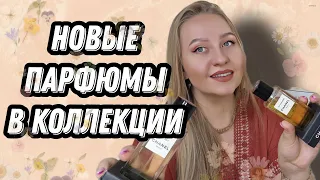 Новые шикарные парфюмы в коллекции #Chanel