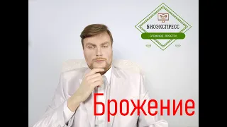 Брожение. ЕГЭ Биология. ЕГЭ 2022.