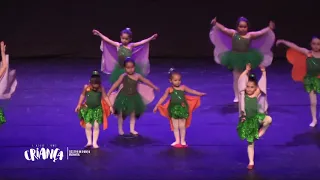 CENTRAL DA DANÇA - As Borboletas (Ballet Baby)