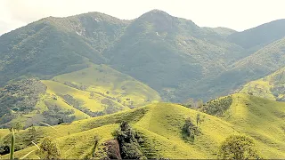 SLOW FOOD EM SÃO FRANCISCO XAVIER SP