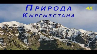 Чычкан капчыгайы (Ош Бишкек жолу)