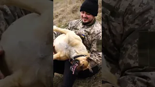 Мій друг з початку  війни🐶