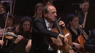 Perényi Miklós and the Concerto Budapest (Live at Müpa Budapest)