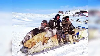 Как жили и живут инуиты