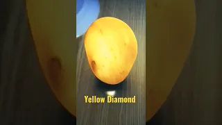 Yellow Diamond 💎 | #diamond #diamonds #yellowstone #yellowdiamonds #yellowdiamond #gemstones #short