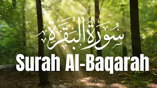 Surah Al-Baqarah Full (سورة البقره) | The Cow | HEART TOUCHING RECITATION |  Islamic World HD