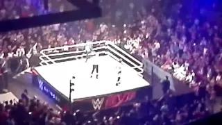 Roman Reigns's entrance at #WWEManila