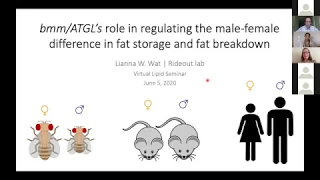 LRD Seminar, June 5th, 2020: Lipid Storage and Utilization