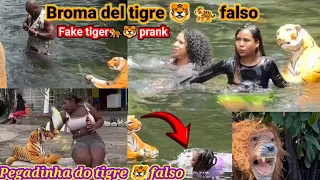 Broma del tigre falso #2 recopilacion / Pegadinha do tigre falso/ Fake tiger prank