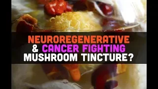 Neuroregenerative and Cancer Fighting Mushroom Tincture | The Advanced Permaculture Student Online