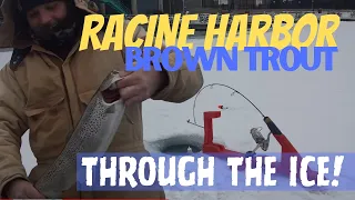 BROWN TROUT THRU THE ICE! | RACINE HARBOR | #fishing #icefishing #trout