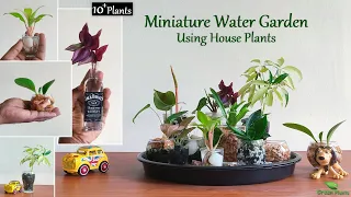The unique idea for Miniature Water Garden Using Common House Plants | Plants in Water//GREEN PLANTS