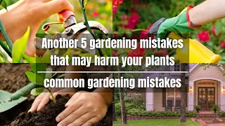 Another 5 gardening mistakes that may harm your plants | common gardening mistakes