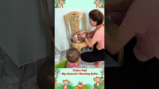 Monkey Hair Red Eats Something So Shockingly Dangerous, Even Mom is Worried part 2