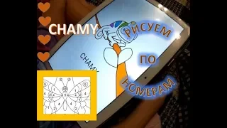 CHAMY. Раскраска по цифрам. Увлекательное занятие для детей.