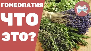 ЧТО ТАКОЕ ГОМЕОПАТИЯ?