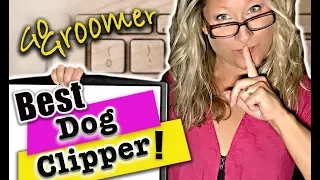 What is the Best Clipper for your Dog-Secrets you did not know