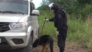 Антитеррористические учения в Рязани