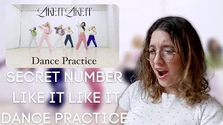 SECRET NUMBER "LIKE IT LIKE IT" Dance Practice Reaction