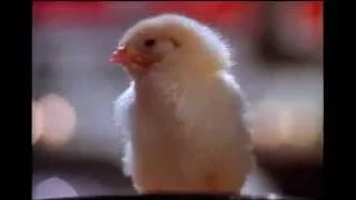 Chicken Little - Classic TV Commercial | Discount Tire