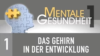 1. Das Gehirn in der Entwicklung - Mentale Gesundheit 1 - Dr. med. Timothy Jennings