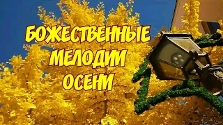 БОЖЕСТВЕННЫЕ МЕЛОДИИ ОСЕНИ#музыкадлядуши #инструментальнаямузыка