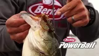 Berkley Powerbait: The Best Fishing Bait On the Market