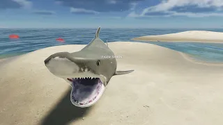 Stranded Deep i killed the tiger shark in defult