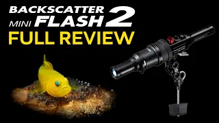 Mini Flash 2: The Best Underwater Macro Strobe | Full Review