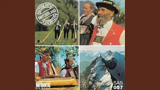 Swiss Alphorn Solo