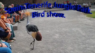 Spain. Tenerife. JUNGLE park. Bird show.