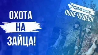 Охота на зайца!Трудовая охота и поле чудес!