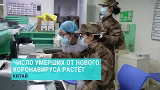 Растет число жертв коронавируса. Выпуск новостей