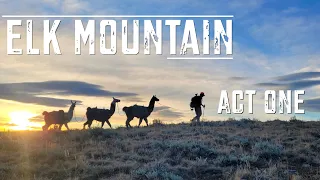 HUNTING BULLS IN THE HIGH AND WILD: ELK MOUNTAIN