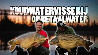 Karpervissen: Koudwatervisserij op betaalwater