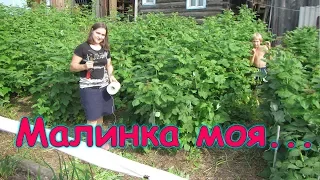 Делаем с сынулей малинник. (08.19г.) Семья Бровченко.