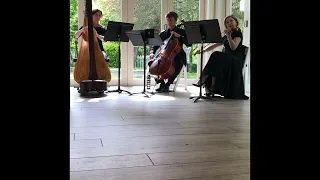 Can't Help Falling in Love - Harp/Cello/Violin Wedding Rehearsal peek