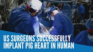 US surgeons successfully implant pig heart in human