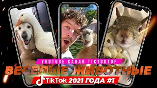 ВЕСЕЛЫЕ ЖИВОТНЫЕ из TikTok #1 2021 | Приколы 2021 | Тренды тик ток 2021 | Приколы тик ток