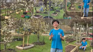 My Dad's Makeover Plan For My Mom's Garden This Year | Backyard Gardening 2020 Vlog Part 2 By Aiman