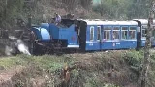 The train from Kurseong