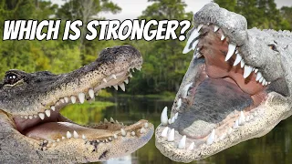 ALLIGATOR VS CROCODILE - Which is Stronger?