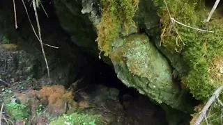 Creek Disappearing into a Cave