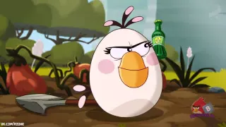 Angry birds toons Oh Gnome clip