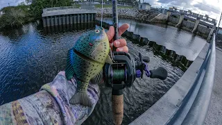 My First Time Fishing a Spillway