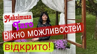 Мега прогноз на 12 колодах для всіх Знаків Зодіаку! @Maksimuza Taro