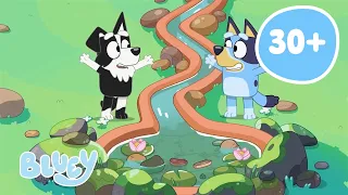 🔴EN VIVO: Aventuras al aire libre con Bluey | Bluey