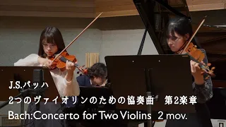 美しすぎるハーモニー【J.S.バッハ : 2つのヴァイオリンのための協奏曲ニ短調 第2楽章/Bach:Concerto for Two Violins in D minor 2 mov.】