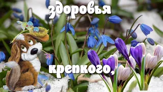 Доброе утро! ❤️ Весеннего Вам настроения! ❤️ Красивое весеннее пожелание ❤️