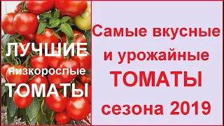 Самые УРОЖАЙНЫЕ, ЛУЧШИЕ и ВКУСНЫЕ сорта томатов (черри) 🍅Лучшие низкорослые помидоры 2019